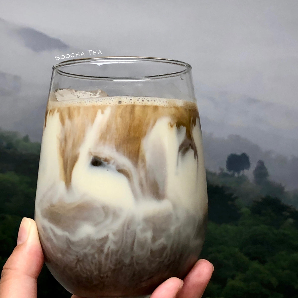 Cold Balhyocha Latte | Recipes - Soocha Tea