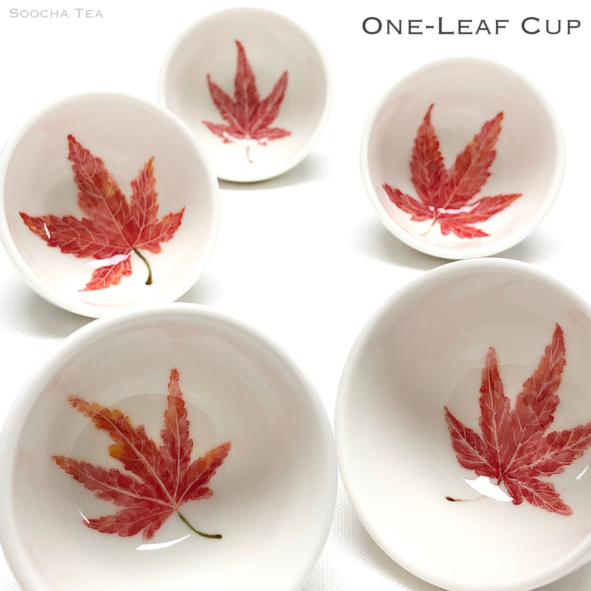 Maple Leaf Tea Cup | Soocha Tea