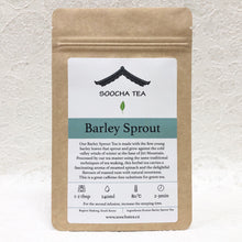 Load image into Gallery viewer, Barley Sprout
